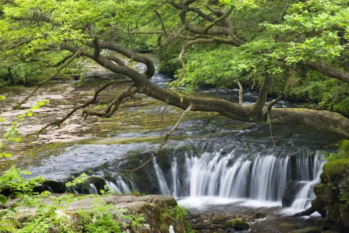 Framed Print : The Nedd Fechan River at Horseshoe Falls, Brecon Beacons National Park, Mid Glamorgan Framed Print : The Nedd Fechan River at Horseshoe Falls, Brecon Beacons National Park, Mid Glamorgan