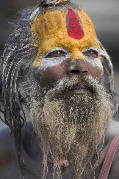Nepal, Kathmandu, Pashupatinath Temple, Shivaratri festival, Sadhu (Holy man)