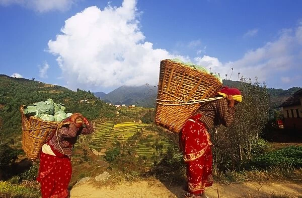 Nepal, Kathmandu, Markhu Valley