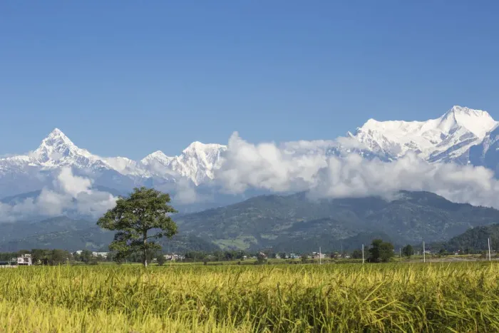 Framed Print : Nepal, Pokara, View of Himalayas Framed Print : Nepal, Pokara, View of Himalayas