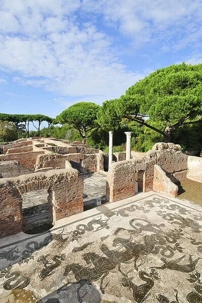 Neptune Baths of Ostia Antica at the mouth of the River Tiber, Ostia, Rome, Italy