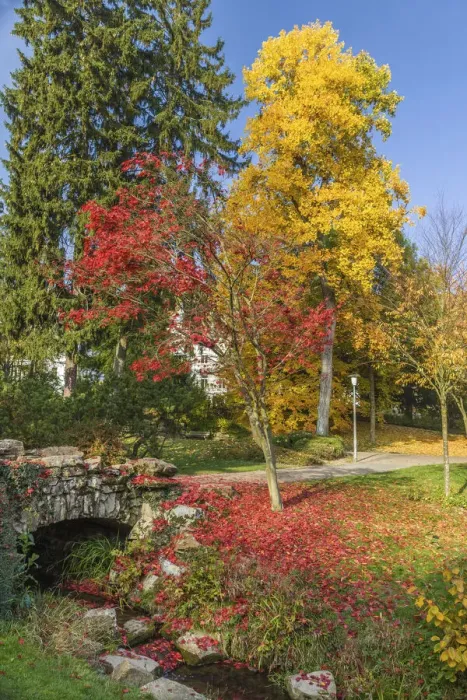 Framed Print : Neropark in autumn, Wiesbaden, Hesse, Germany Framed Print : Neropark in autumn, Wiesbaden, Hesse, Germany