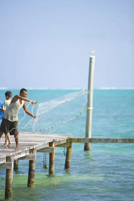 Framed Print : Net fishing, Caye Caulker, Belize Framed Print : Net fishing, Caye Caulker, Belize