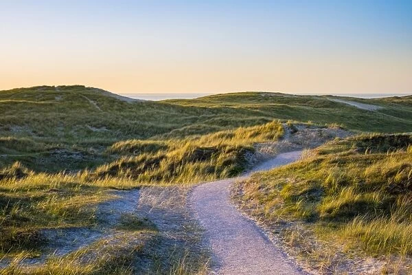 Netherlands, North Holland, Julianadorp. Walking path through the dunes at sunset