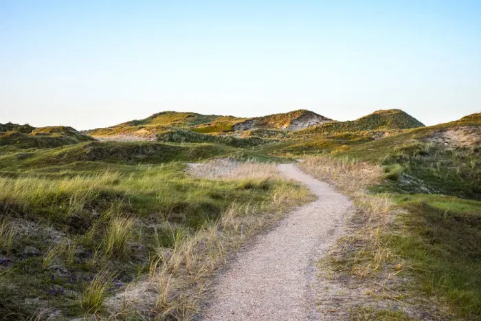 Framed Print : Netherlands, North Holland, Julianadorp. Walking path through the dunes Framed Print : Netherlands, North Holland, Julianadorp. Walking path through the dunes