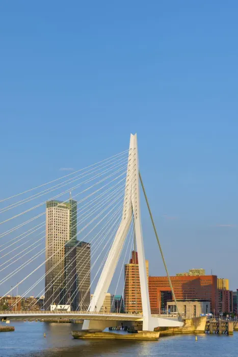 Framed Print : Netherlands, South Holland, Rotterdam, Erasmusbrug, Erasmus Bridge Framed Print : Netherlands, South Holland, Rotterdam, Erasmusbrug, Erasmus Bridge