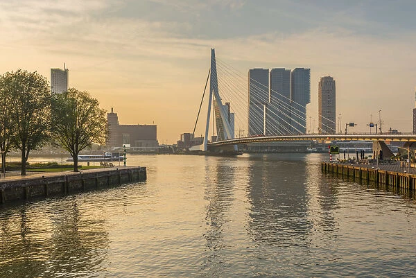 Netherlands, South Holland, Rotterdam, Erasmusbrug, Erasmus Bridge and Wilhelminakade 137