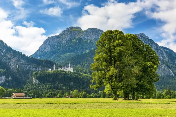 Framed Print : Neuschwanstein Castle or Schloss Neuschwanstein, Schwangau, Bavaria, Germany Framed Print : Neuschwanstein Castle or Schloss Neuschwanstein, Schwangau, Bavaria, Germany
