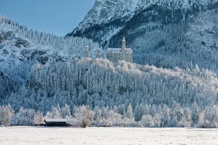 Framed Print : Neuschwanstein castle, Schwangau, Fussen, Swabia, Bavarian Alps, Bavaria, Germany Framed Print : Neuschwanstein castle, Schwangau, Fussen, Swabia, Bavarian Alps, Bavaria, Germany