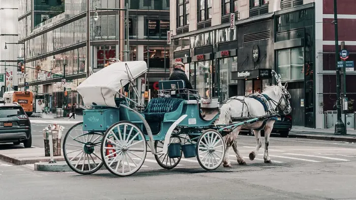 Framed Print : New York City, Horse Carriage in Manhattan, USA Framed Print : New York City, Horse Carriage in Manhattan, USA