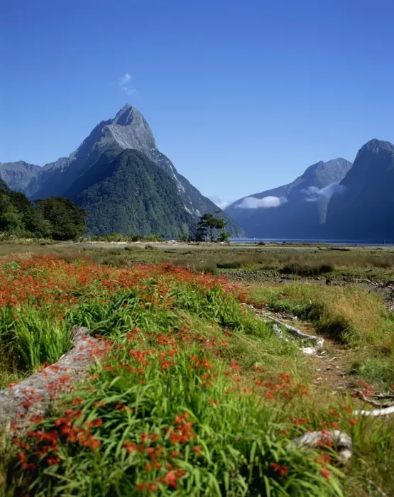 Framed Print : New Zealand, Milford Sound, Mitre Peak Framed Print : New Zealand, Milford Sound, Mitre Peak