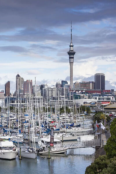 New Zealand, North Island, Auckland, skyline from Westhaven Marina
