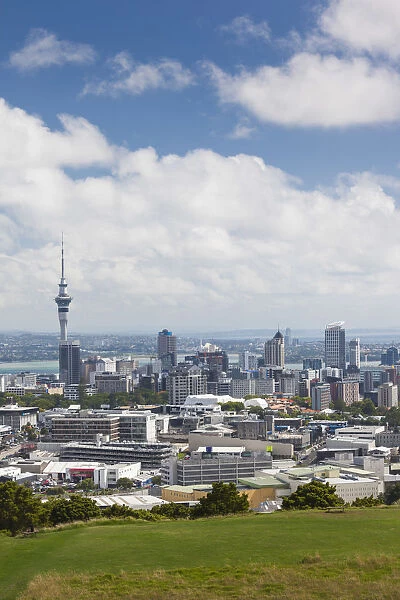 New Zealand, North Island, Auckland, elevated skyline from Mt. Eden volcano cone