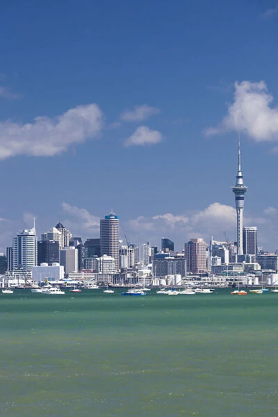 New Zealand, North Island, Auckland, skyline view from Devonport