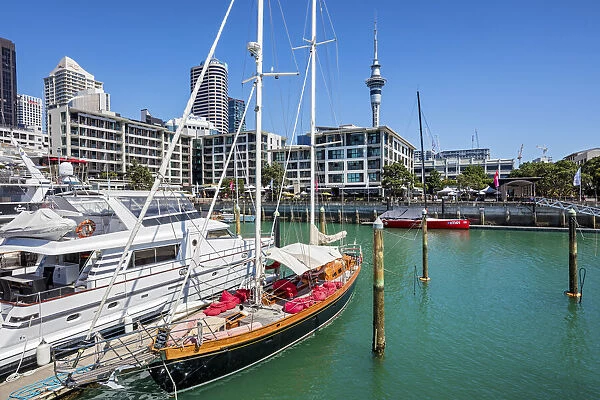 New Zealand, North Island, Auckland harbour