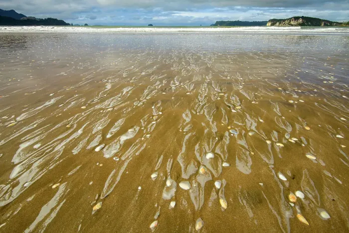 Framed Print : New Zealand, North Island, Coromandel Peninsula, Mercury Bay, Whitianga, beach Framed Print : New Zealand, North Island, Coromandel Peninsula, Mercury Bay, Whitianga, beach