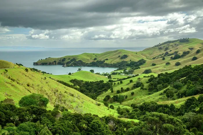 Framed Print : New Zealand, North Island, Coromandel peninsula, Coromandel, Manaia, cove, farm Framed Print : New Zealand, North Island, Coromandel peninsula, Coromandel, Manaia, cove, farm