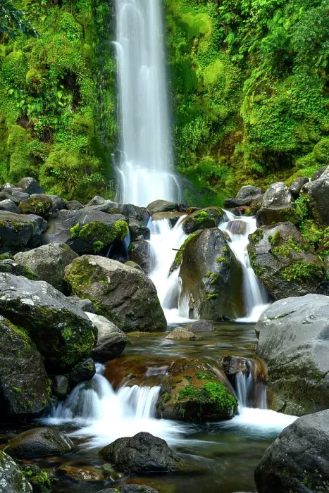 Framed Print : New Zealand, North Island, Egmont National Park, Dawson Falls Framed Print : New Zealand, North Island, Egmont National Park, Dawson Falls