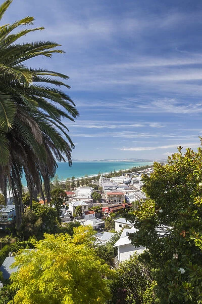 New Zealand, North Island, Hawkes Bay, Napier, elevated city view