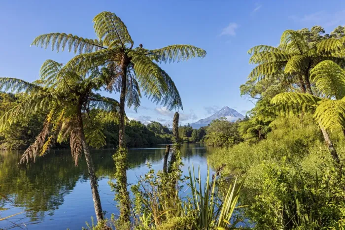 Framed Print : New Zealand, North Island, Lake Mangamahoe, view to Mount Taranaki Framed Print : New Zealand, North Island, Lake Mangamahoe, view to Mount Taranaki