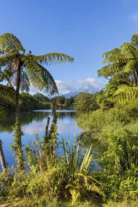 Framed Print : New Zealand, North Island, Lake Mangamahoe, view to Mount Taranaki Framed Print : New Zealand, North Island, Lake Mangamahoe, view to Mount Taranaki
