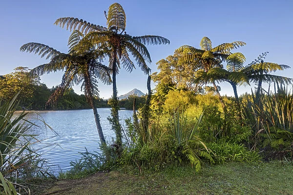 New Zealand, North Island, Lake Mangamahoe, view to Mount Taranaki