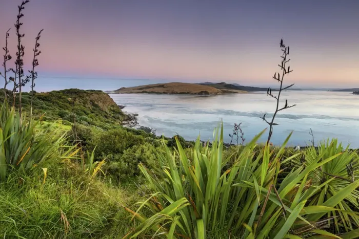 Framed Print : New Zealand, North Island, Northland, Hokianga Harbour Framed Print : New Zealand, North Island, Northland, Hokianga Harbour