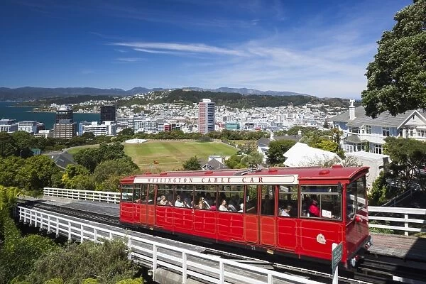 New Zealand, North Island, Wellington, Wellington Cable Car, Wellington Botanic Gardens