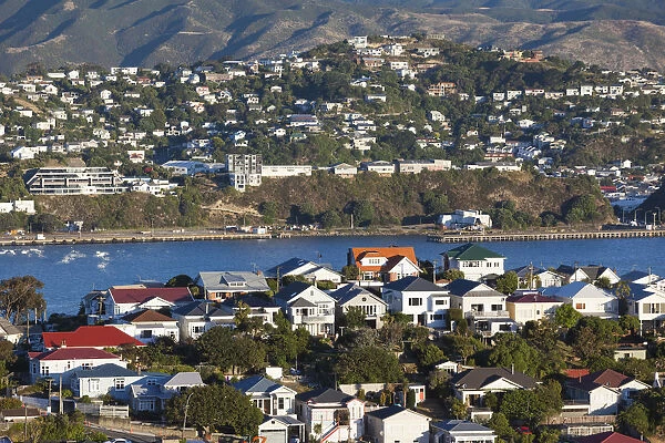 New Zealand, North Island, Wellington, elevated view of suburbs from Mt. Victoria