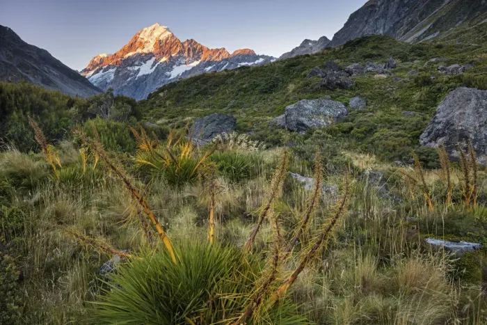Framed Print : New Zealand, South Island, Aoraki-Mount Cook National Park Framed Print : New Zealand, South Island, Aoraki-Mount Cook National Park