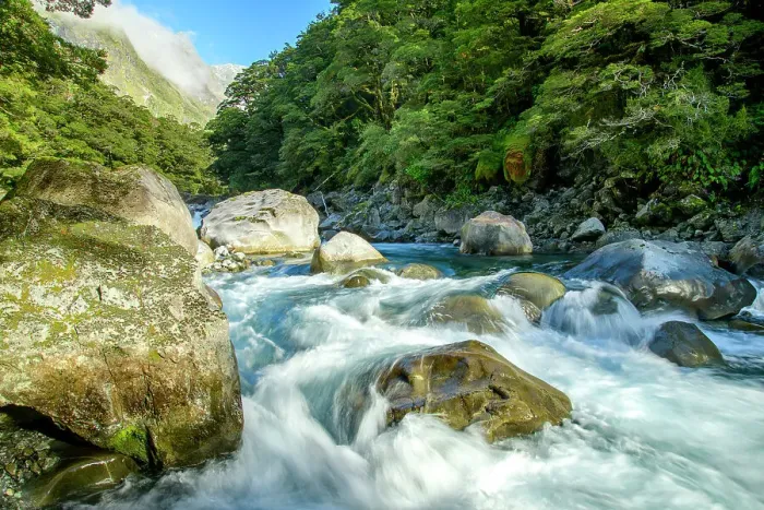 Framed Print : New Zealand, South Island, Fiordland National Park, UNESCO World Heritage, rushing river Framed Print : New Zealand, South Island, Fiordland National Park, UNESCO World Heritage, rushing river
