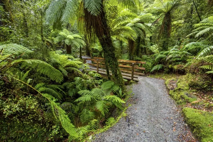 Framed Print : New Zealand, South Island, Hokitika Gorge Trail