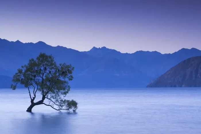 Framed Print : New Zealand, South Island, Otago, Wanaka, Lake Wanaka, solitary tree, dusk Framed Print : New Zealand, South Island, Otago, Wanaka, Lake Wanaka, solitary tree, dusk