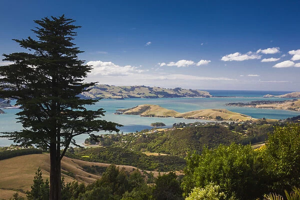 New Zealand, South Island, Otago, Otago Peninsula, peninsular landscape