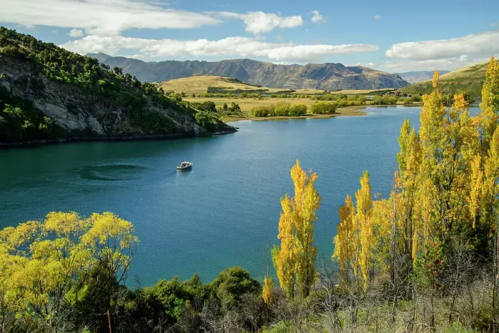 Framed Print : New Zealand, South Island, Otago, Wanaka, Wanaka lake and poplar trees in autumn Framed Print : New Zealand, South Island, Otago, Wanaka, Wanaka lake and poplar trees in autumn