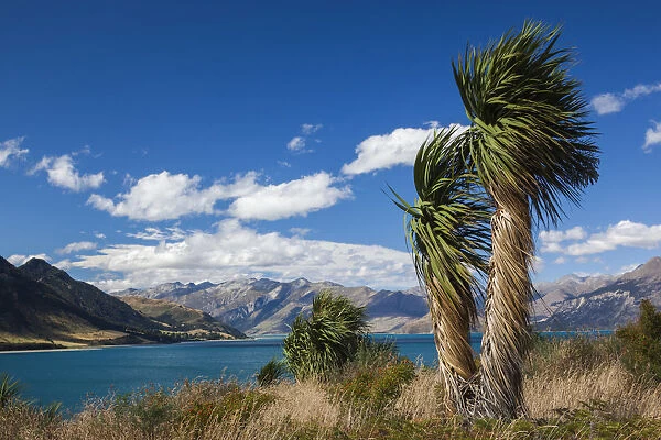 New Zealand, South Island, Otago, Wanaka-area, Lake Hawea