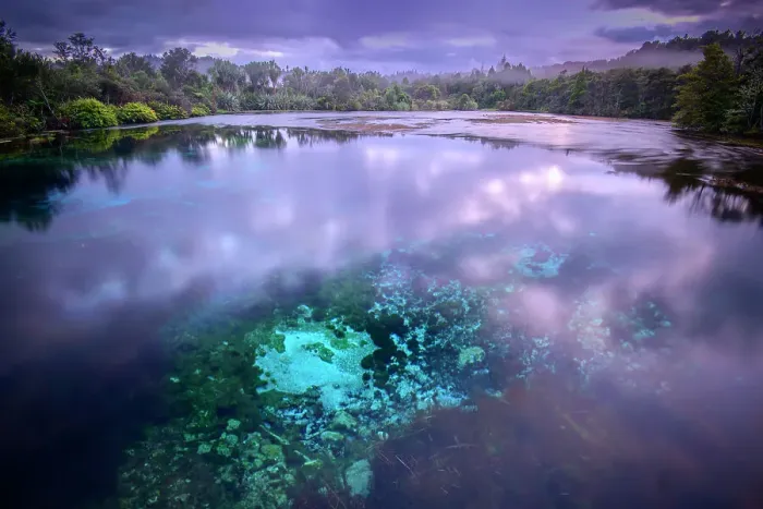 Framed Print : New Zealand; South Island, Takaka, Golden Bay, Te Waikoropupu Springs, spring at dawn Framed Print : New Zealand; South Island, Takaka, Golden Bay, Te Waikoropupu Springs, spring at dawn