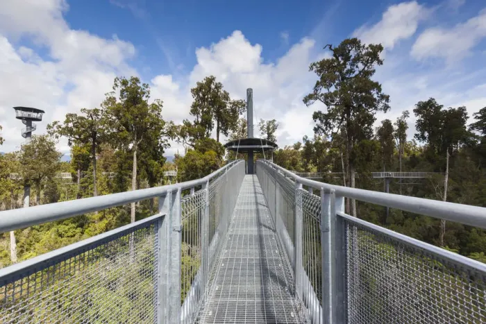 Framed Print : New Zealand, South Island, West Coast, Hokitika, West Coast Treetops Walkway, elevated Framed Print : New Zealand, South Island, West Coast, Hokitika, West Coast Treetops Walkway, elevated