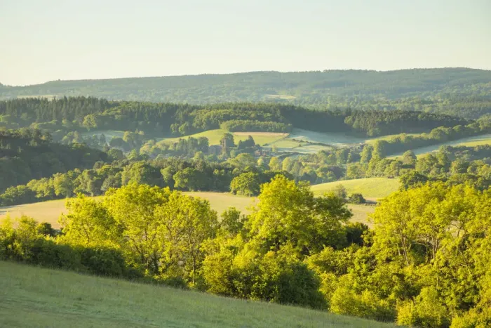 Framed Print : Newlands Corner, North Downs, Guildford, Surrey, England, UK