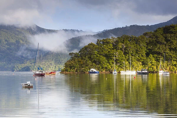 Ngakuta Bay, Queen Charlotte Sound, Marlborough Sounds, South Island, New Zealand