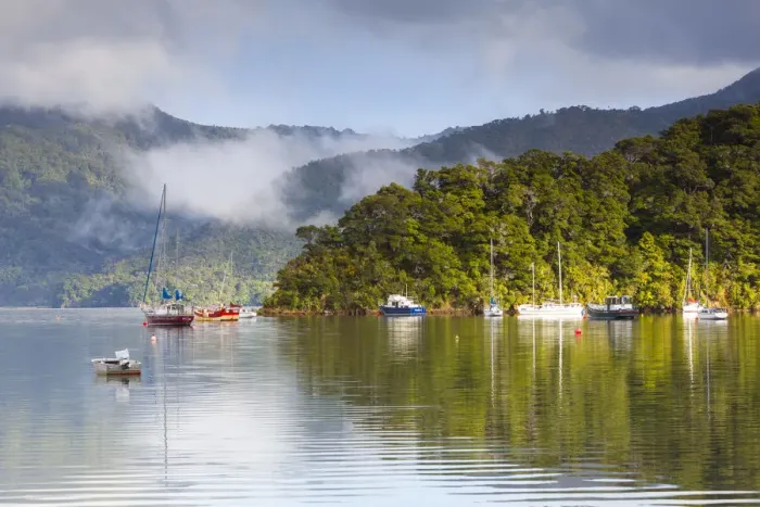 Framed Print : Ngakuta Bay, Queen Charlotte Sound, Marlborough Sounds, South Island, New Zealand Framed Print : Ngakuta Bay, Queen Charlotte Sound, Marlborough Sounds, South Island, New Zealand