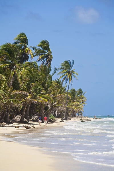 Nicaragua, Corn Islands, Little Corn Island, Iguana Beach