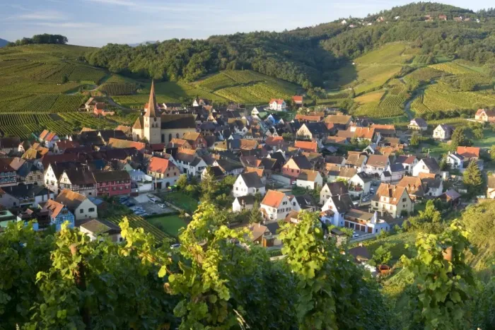 Framed Print : Niedermorschwihr