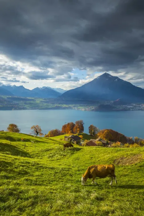 Framed Print : Niesen mountain and Lake Thun, Berner Oberland, Switzerland