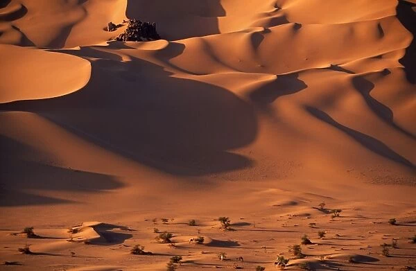 Niger, Tenere Desert