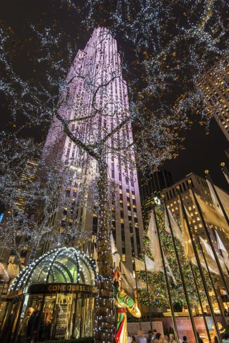 Framed Print : Night low angle view of trees wrapped with Christmas lights and Rockefeller Center Framed Print : Night low angle view of trees wrapped with Christmas lights and Rockefeller Center
