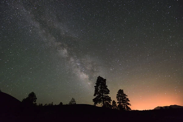 Night sky and Ponderosa Pine, Sunset Crater National Monument, Arizona, USA