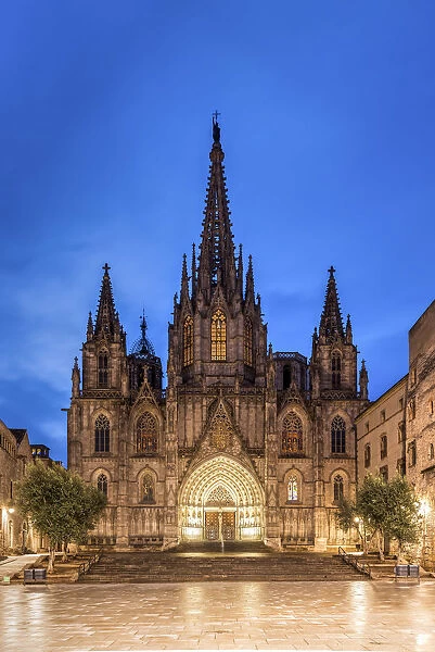 Night view of the Cathedral of the Holy Cross and Saint Eulalia, Barcelona, Catalonia