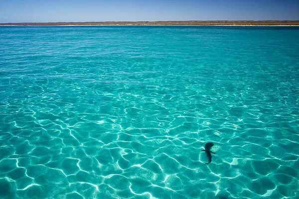 Ningaloo Marine Park, pristine water from the boat, Western Australia