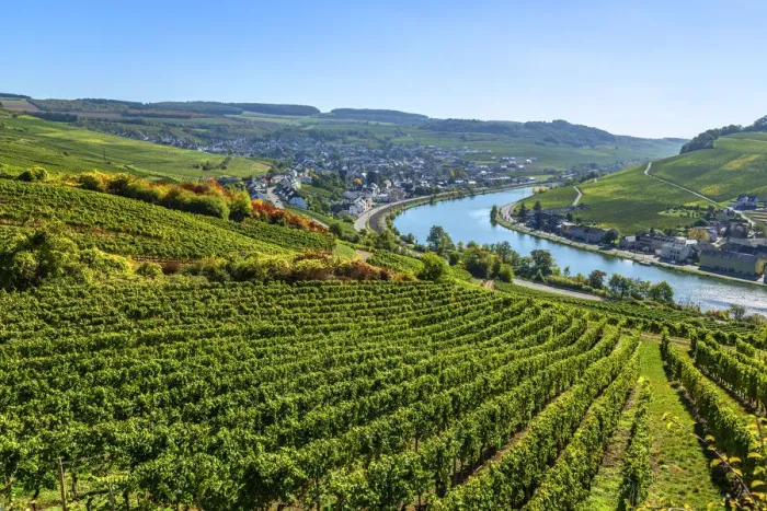 Framed Print : Nittel, Mosel valley, Rhineland-Palatinate, Germany Framed Print : Nittel, Mosel valley, Rhineland-Palatinate, Germany